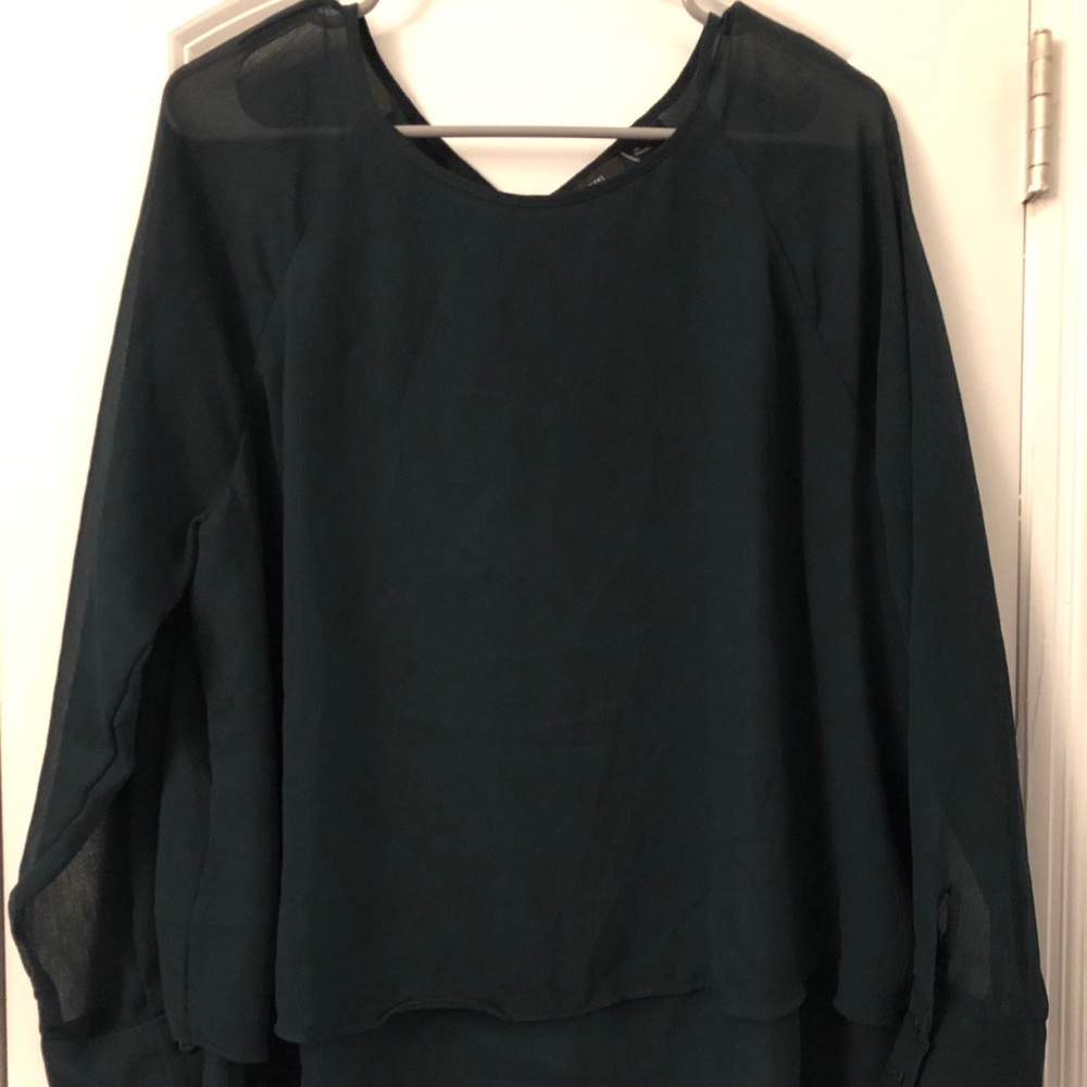 Sheer Work Blouse - image 2